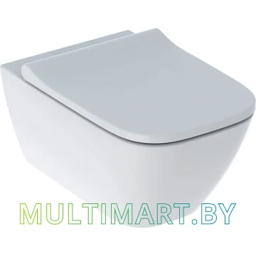 Унитаз Geberit Smyle Square Rimfree (500.683.00.2)
